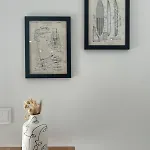 Appartement Medusa *